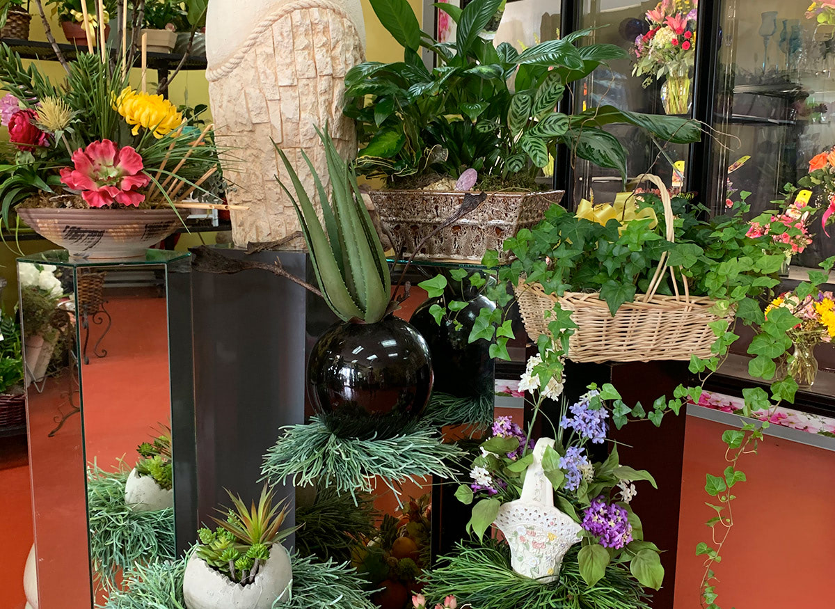 Gorgeous flower and plant arrangements in a wide range of pots and baskets